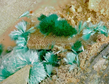 Malachite - Carrière d'Usclas-du-Bosc (Loiras) - Le Bosc - Hérault 