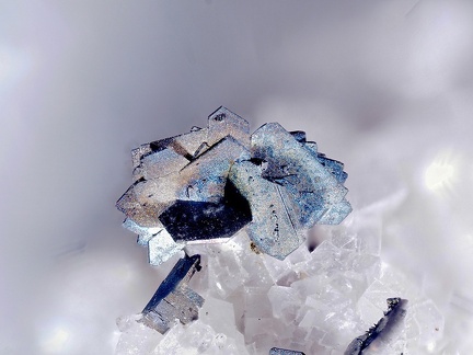 Marcasite - Carrière d'Usclas-du-Bosc (Loiras) - Le Bosc - Hérault 