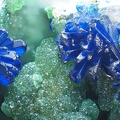 Adamite Azurite -  Col De Saint Estèbe - Montgaillard - Aude 