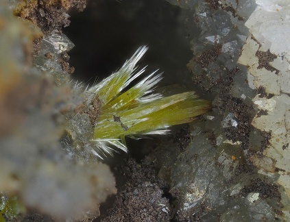 Pyromorphite - Le Vialardel - La Bastide l'Evêque - Aveyron