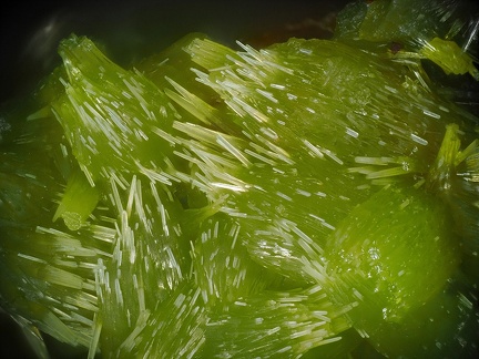 Pyromorphite - La Nuizière (mine) - Chénelette  - Villefranche-sur-Saône - Rhône 