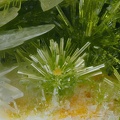 Pyromorphite - La Nuizière (mine) - Chénelette  - Villefranche-sur-Saône - Rhône