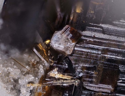 Zircon Fluorophlogopite Fluoro-Edenite - Ravin des Chèvres - Mont Dore - Puy de Dôme 