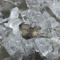 Brookite Quartz - Vallon de Roche Noire - Le Monêtier les Bains - Hautes-Alpes 