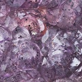 Fluorite - Les Meix - Rupt sur Moselle - Vosges 