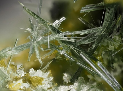 Actinolite Epidote - Les Graves - Cassagne - Haute Garonne 