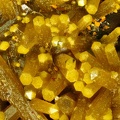 Pyromorphite - Les Farges -Corrèze 