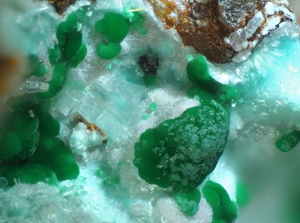 n°112210 - Cerusite sur malachite -  Puechiguier - Aveyron