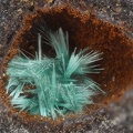 n°134073 - Malachite - Villecun - Olmet etVillecun - Hérault 