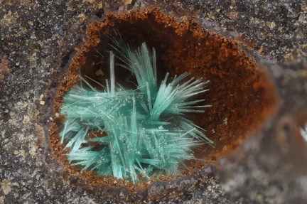 n°134073 - Malachite - Villecun - Olmet etVillecun - Hérault 