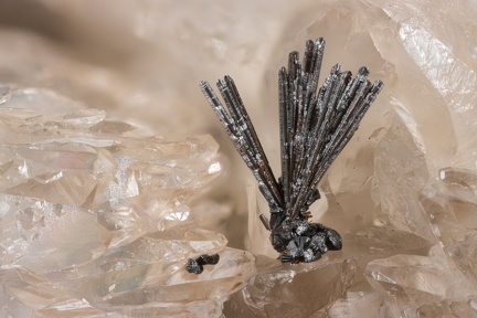 Goethite - Mont Rivel - Champagnole - Jura