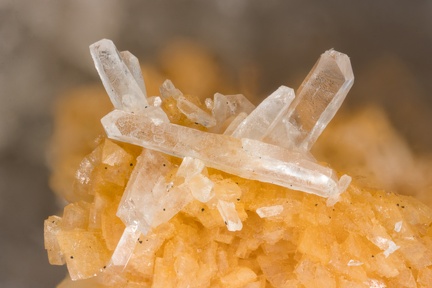 Celestine - Mont Rivel - Champagnole - Jura