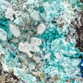Cerusite - Linarite - Brochantite - Le Crozet - La Mine des Rats 