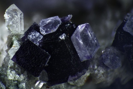 n°142138 - Fluorite, Quartz - Carrière des Gottes - Saint Julien Molin Molette - Loire