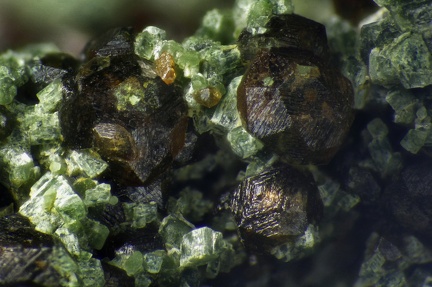 n°150006 - Grossulaire, Epidote ? - Rochers littoraux de Diélette - Flamanville - Manche
