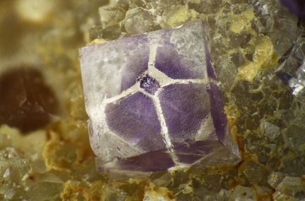 n°143127 Fluorite, Var. fantôme, Quartz - Marsanges (Mines) - Langeac - Haute-Loire