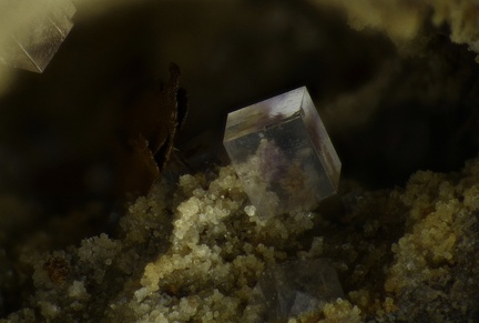 n°107090 - Fluorite - Les Freydières - Soyons - Ardèche
