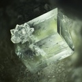 n°143149 - Fluorite, Var. à inclusions, Quartz - Marsanges (Mines) - Langeac - Haute-Loire