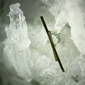 n°173136 - Pyrite, Var. longiforme, Quartz - Combe de la Balme - La Lauzière (Massif) - Savoie