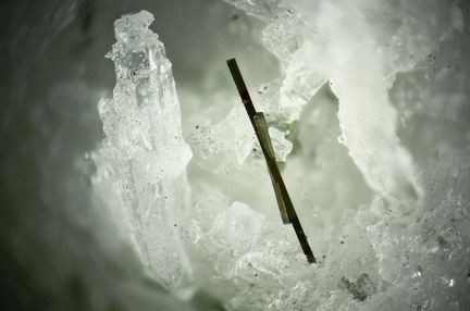 n°173136 - Pyrite, Var. longiforme, Quartz - Combe de la Balme - La Lauzière (Massif) - Savoie