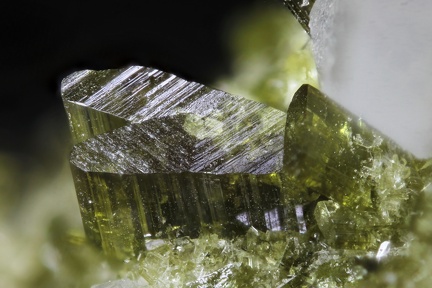 n°105037 - Epidote Var. maclée, Albite - Queyras - Hautes-Alpes