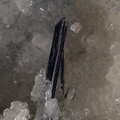 n°115090 - Stibine Quartz - Filon des Forges - Leyvaux - Cantal