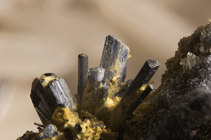 n°115091 - Stibine Quartz - Filon des Forges - Leyvaux - Cantal
