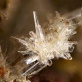 n°143105 - Aragonite - Carrière de Bournac - Saint Front - Haute-Loire