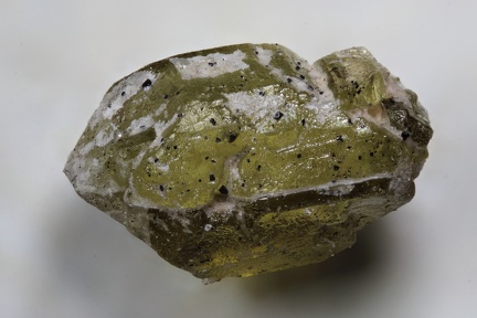 n°163345 - Calcio-olivine - Lac Montcineyre - Compains - Puy-de-Dôme