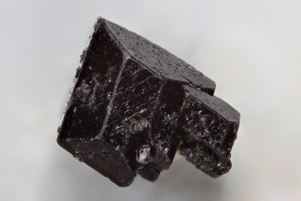 n°163345 Bis - Augite - Lac Montcineyre - Compains - Puy-de-Dôme