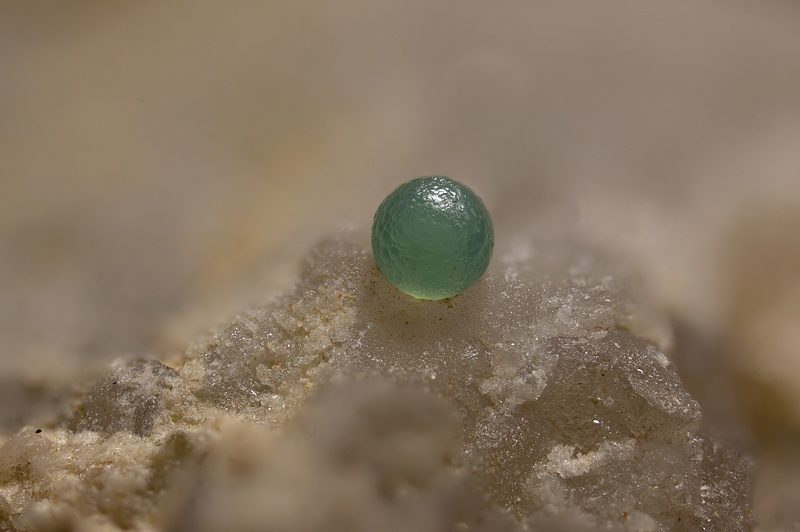 168116 -Eulytine Quartz Heidenbach Vallon Munster Haut-Rhin FOV 3mm-LL.jpg
