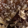 n°169161 - Pyromorphite - Chanrion - Poule les Echarmeaux - Rhône
