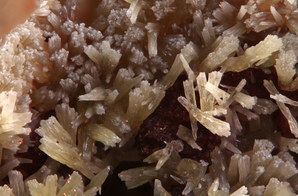 n°169161 - Pyromorphite - Chanrion - Poule les Echarmeaux - Rhône