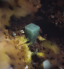 n°171159 - Dewindtite Torbernite - La Faye (Mine) - Grury - Saône-et-Loire