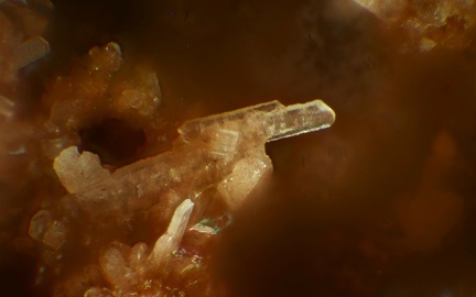 n°183143 - Orthoclase Quartz Hematite - Lac de la Charbonnière - Fréjus - Var