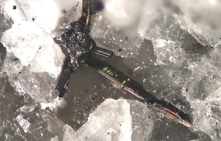 n°188055 - Emplectite Clinoclase - Faymont  - Le Val d'Ajol - Vosges
