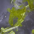 n°188063 - Pyromorphite Quartz - Haut du Them (Mine) - Maxonchamp - Vosges