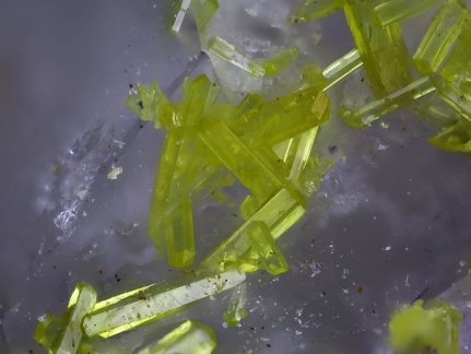 n°188063 - Pyromorphite Quartz - Haut du Them (Mine) - Maxonchamp - Vosges
