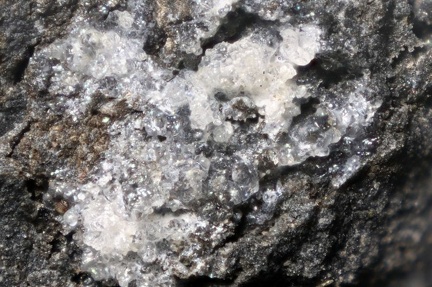 n°197045 - Opale var. Hyalite - Ravine Chaloupe -  la Réunion