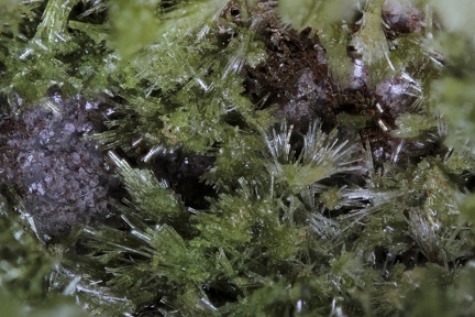 n°198022 - Epidote-Ca - Vallée de la Papenoo - Tahiti - Polynésie-Française