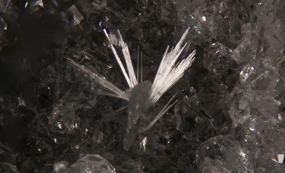 n°198038 - Thomsonite-Ca Analcime - Vallée de la Papenoo - Tahiti - Polynésie-Française