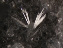 n°198038 - Thomsonite-Ca Analcime - Vallée de la Papenoo - Tahiti - Polynésie-Française