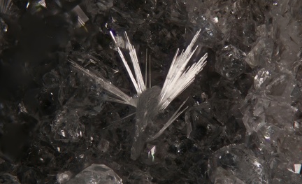 n°198038 - Thomsonite-Ca Analcime - Vallée de la Papenoo - Tahiti - Polynésie-Française