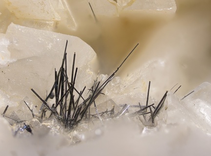n°143129 - Bismuthinite, Quartz, Dolomite - Marsanges (Mines) - Langeac - Haute-Loire