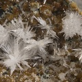 n°143126 - Aragonite, Calcite - Viaduc de la Recoumène - Le Monastier-sur-Gazeille - Haute-Loire