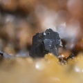 n°115095 - Polybasite, Pyrargyrite, Dolomite - Fournial - Molledes - Cantal
