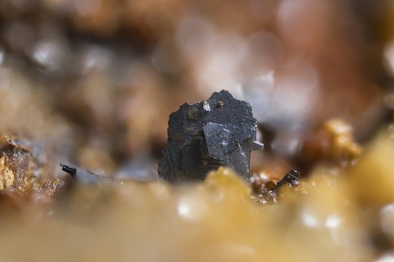 n°115095 - Polybasite, Pyrargyrite, Dolomite - Fournial - Molledes - Cantal