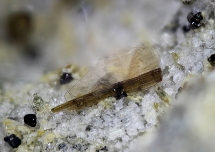 n°163297 Ter - Fluoro-Edenite, Fluorophlogopite - Super-Besse - Déval'Kart - Besse-et-St-Anastaise - Puy-de-Dôme
