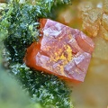 Crocoite Pyromorphite - Le Cantonnier - Nontron - Dordogne