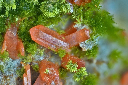 Crocoite Pyromorphite - Le Cantonnier - Nontron - Dordogne